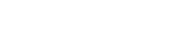 linx-infovelox-negativo